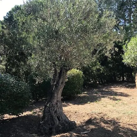 Villa La Tartane -