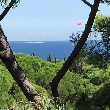 La Tartane - Villa *